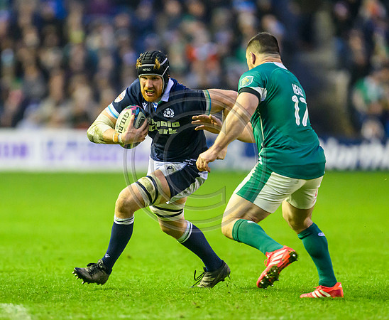 Scotland v ireland