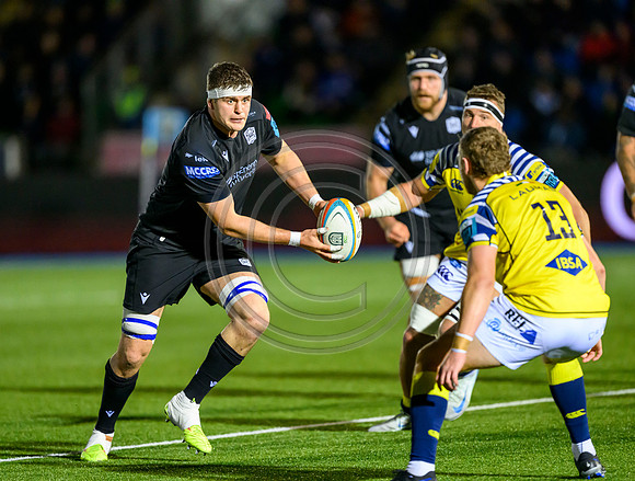 Warriors v Zebre
