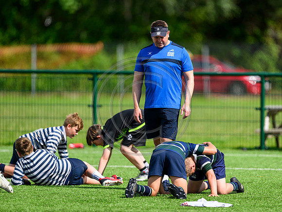 Accelerate Rugby