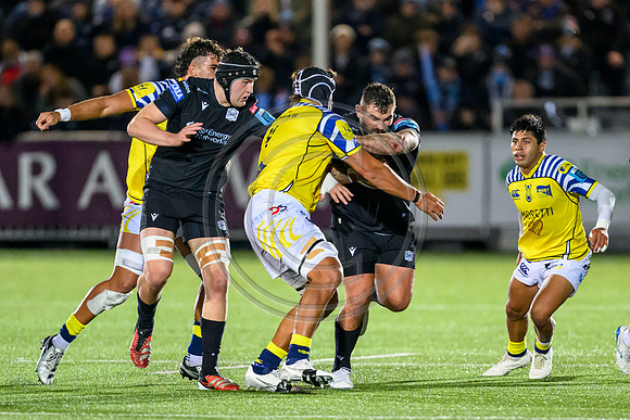 Warriors v Zebre