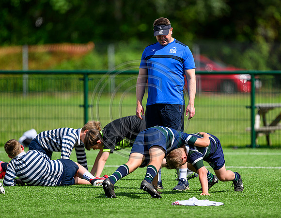 Accelerate Rugby