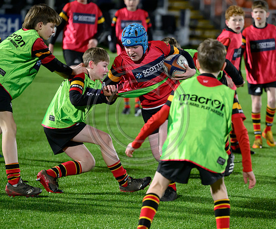 Edinburgh v Cell C Sharks
