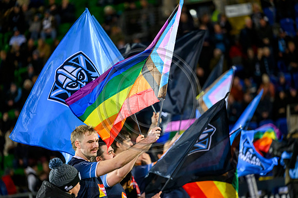 Warriors v Zebre