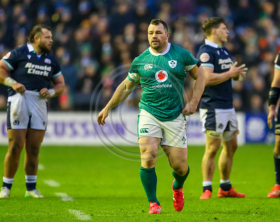 Scotland v ireland
