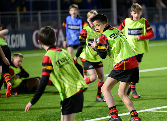 Edinburgh v Cell C Sharks