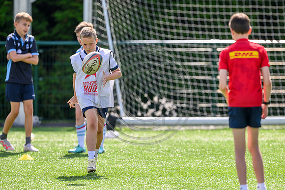 Accelerate Rugby
