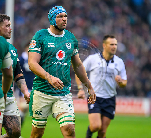 Scotland v ireland