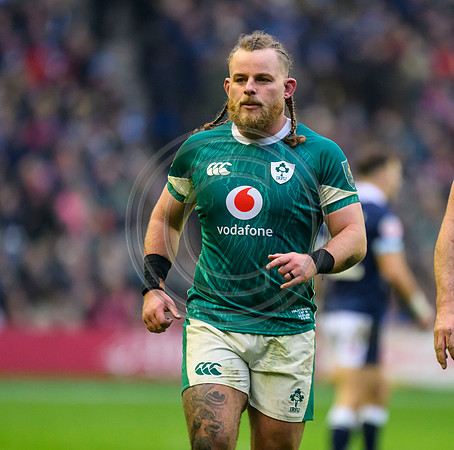 Scotland v ireland