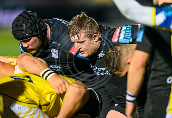 Warriors v Zebre