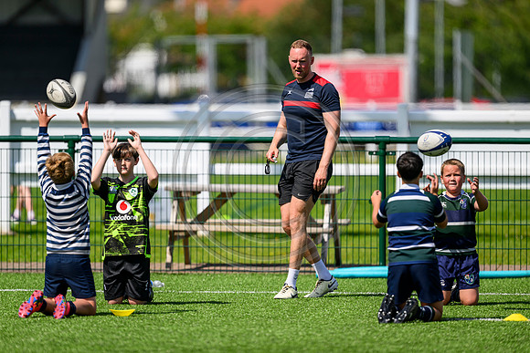 Accelerate Rugby