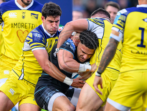 Warriors v Zebre