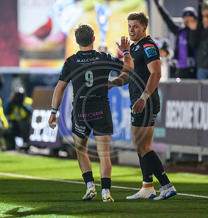 Warriors v Zebre