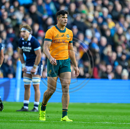 Scotland v Australia