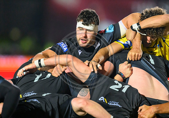 Warriors v Zebre