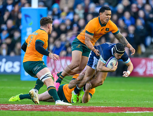Scotland v Australia