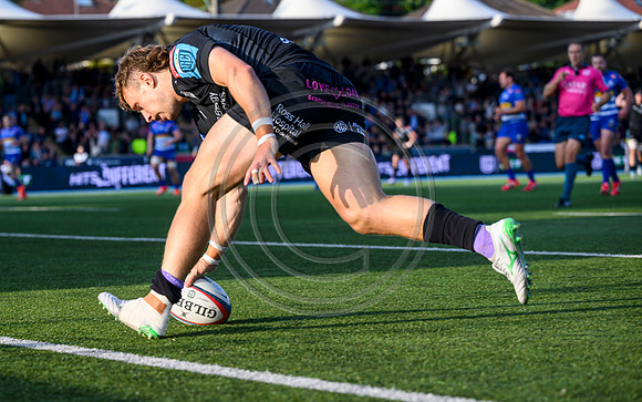 Warriors v Stomers