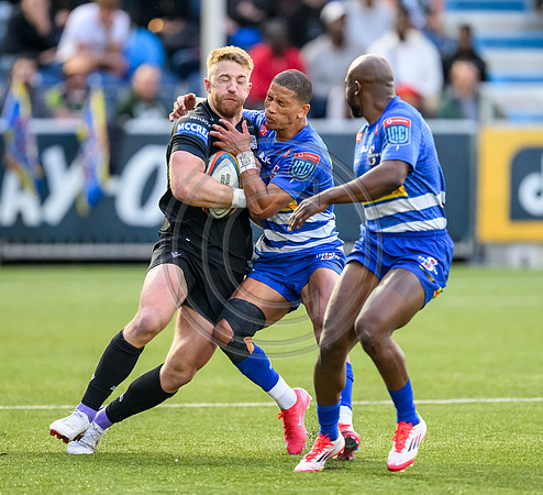 Warriors v Stomers