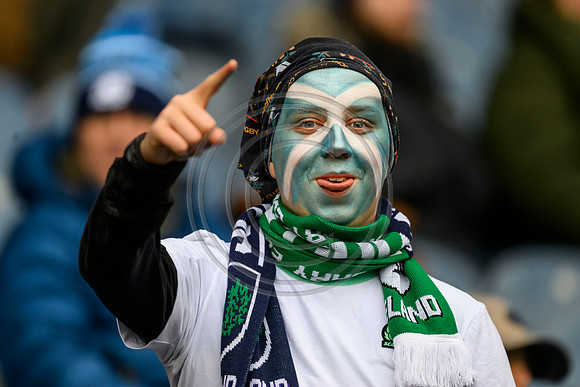 Scotland v ireland