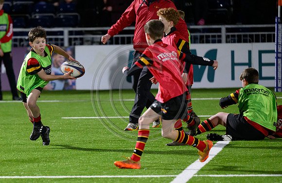 Edinburgh v Cell C Sharks