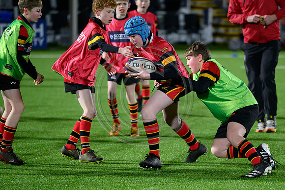 Edinburgh v Cell C Sharks