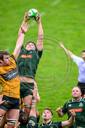 Hawick v Currie