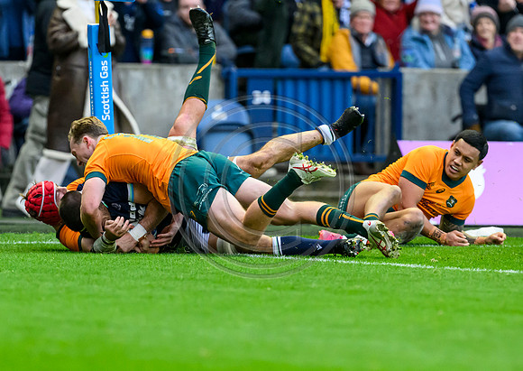 Scotland v Australia