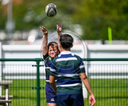 Accelerate Rugby