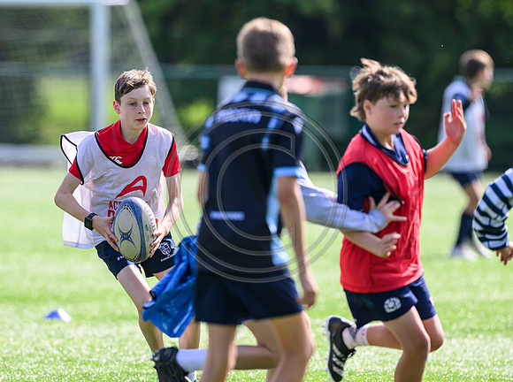 Accelerate Rugby