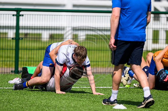 Accelerate Rugby