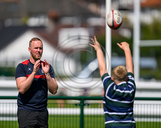 Accelerate Rugby