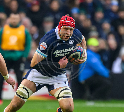 Scotland v ireland