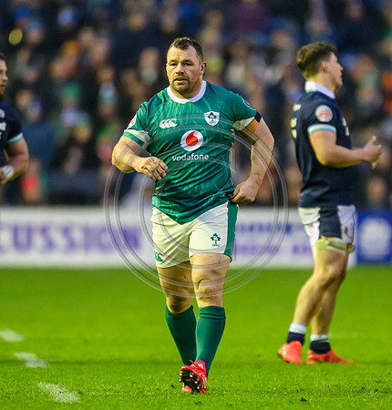 Scotland v ireland