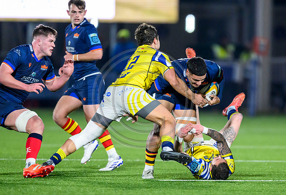 Edinburgh v Zebre