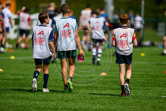 Accelerate Rugby
