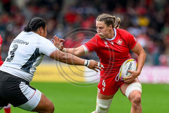 Canada v Wales