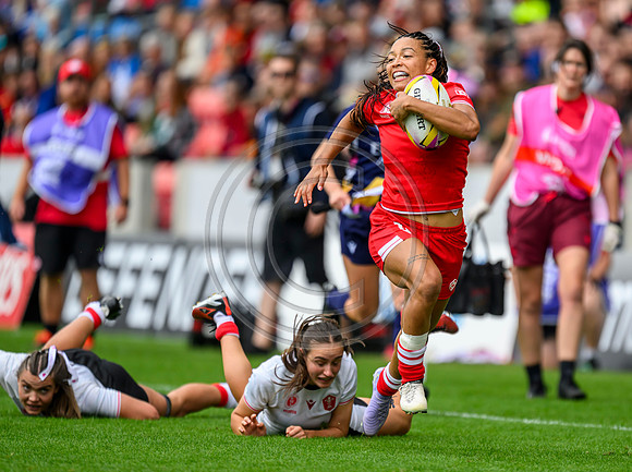 Canada v Wales