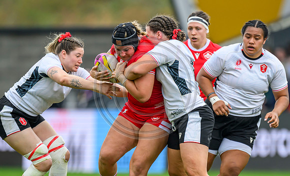 Canada v Wales