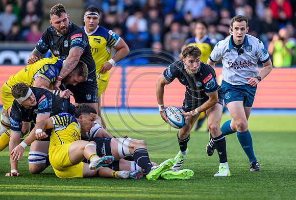Warriors v Zebre