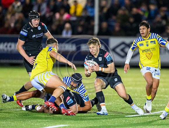 Warriors v Zebre