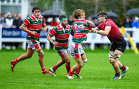 GHA v Glasgow Hawks