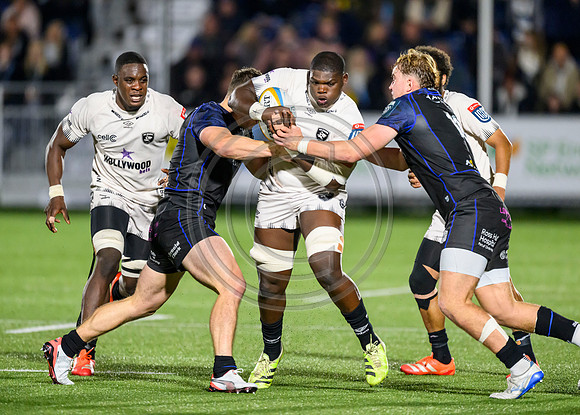 Glasgow Warriors v Hollywoodbet Sharks