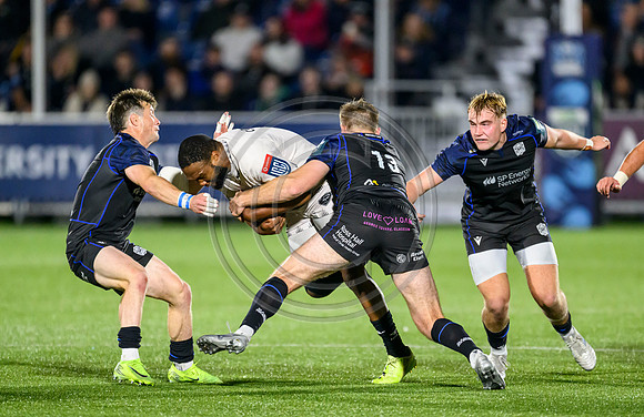 Glasgow Warriors v Hollywoodbet Sharks