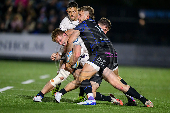 Glasgow Warriors v Hollywoodbet Sharks