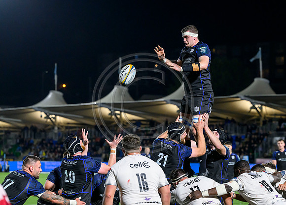 Glasgow Warriors v Hollywoodbet Sharks