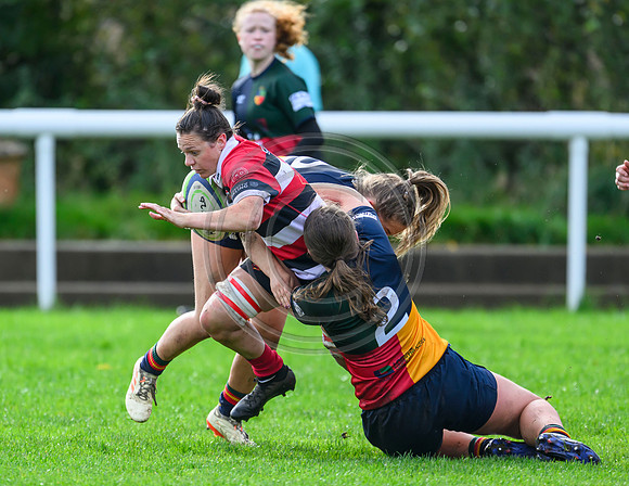 Hills v Stirling County