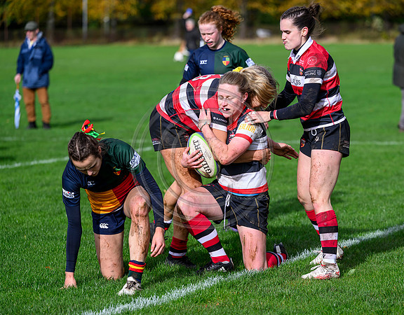 Hills v Stirling County