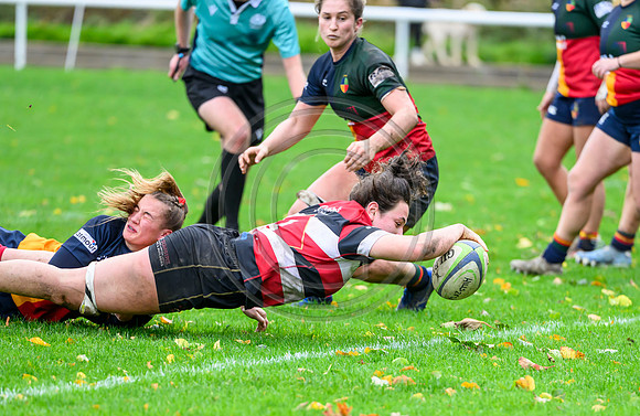 Hills v Stirling County
