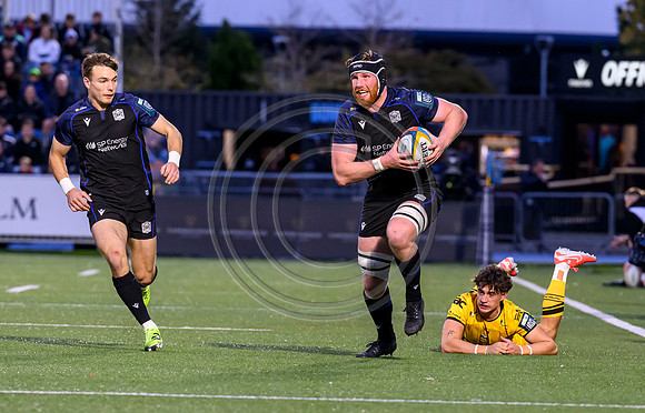 Warriors v Dragons