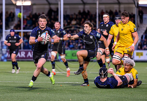 Warriors v Dragons