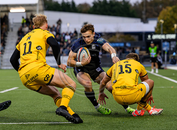 Warriors v Dragons